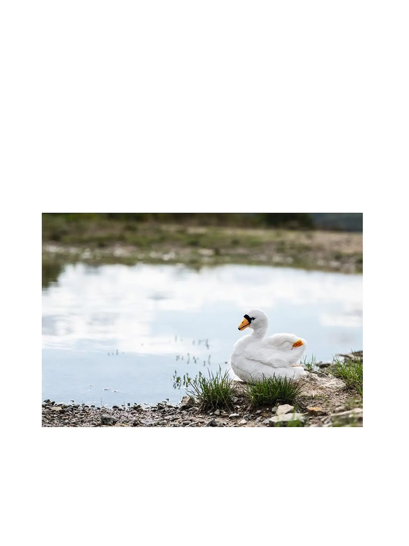 STEIFF | Shana Schwan 20 cm | 